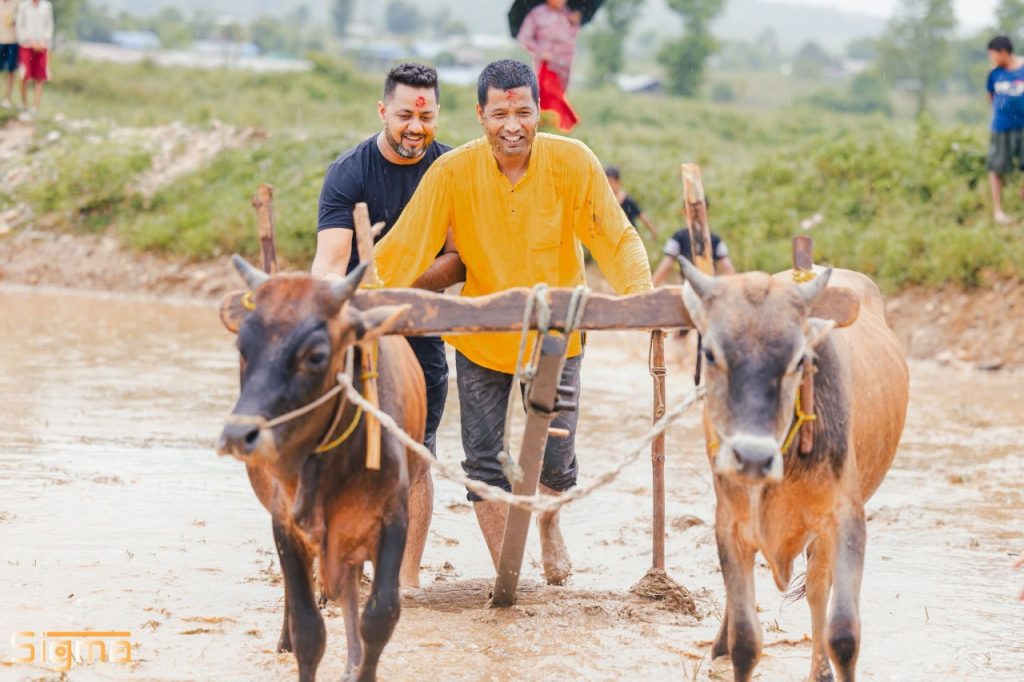 10 Most Common Cattle Diseases in Nepal and Their Prevention